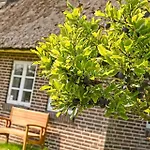 Feriehus Bv402-blavand-vestslugen-6 Blåvand