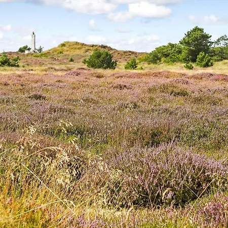 Bv402-blavand-vestslugen-6 펜션 *