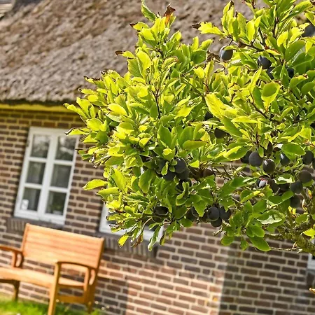 Casa de Férias Bv402-blavand-vestslugen-6 *