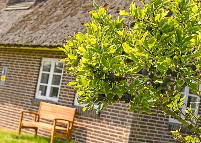 Casa vacanze Bv402-blavand-vestslugen-6 *